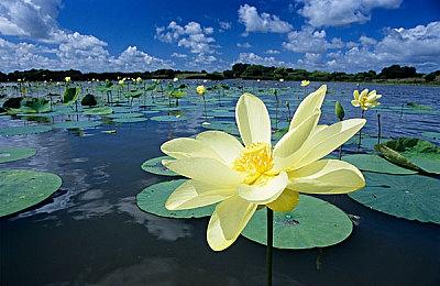 人类开始最后的抵抗，《黑暗时代》开启抢先体验，并将于11月支持简中