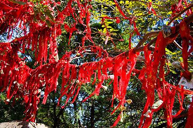 复古RPG《Dream Tactics》登陆Steam 稍后登陆Switch